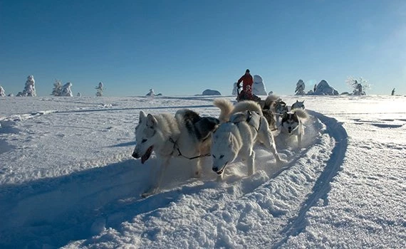 lapland-winterwonderland-luosto-promo