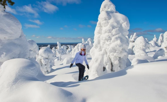 thumb-segment-pagina-iso-syote-avontuur-nieuw