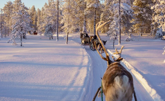 thumb-segment-pagina-salla-avontuur