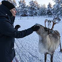 nicole-v-a-lapland