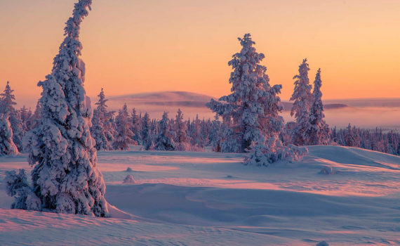 weekend ruka chalets