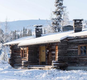 silver pine cabins