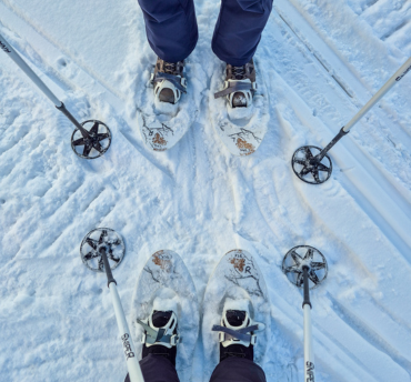 lapland excursies