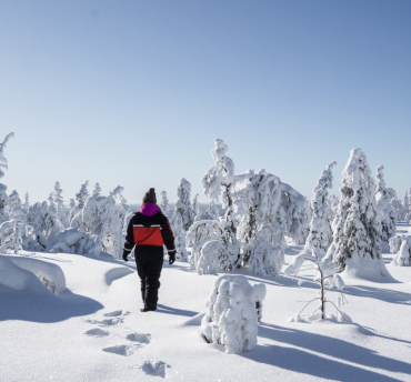 lapland vakantie