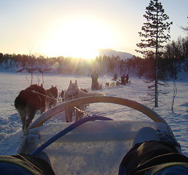 huskysafari lapland