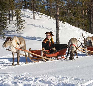 rendiersafari lapland