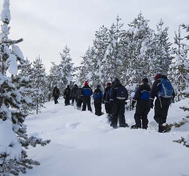 sneeuwschoenwandelen lapland