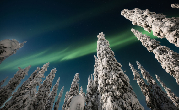 winterwonderland weekend ruka aurinkorinne appartementen