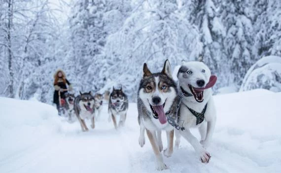 Weekend Salla wilderness lodges