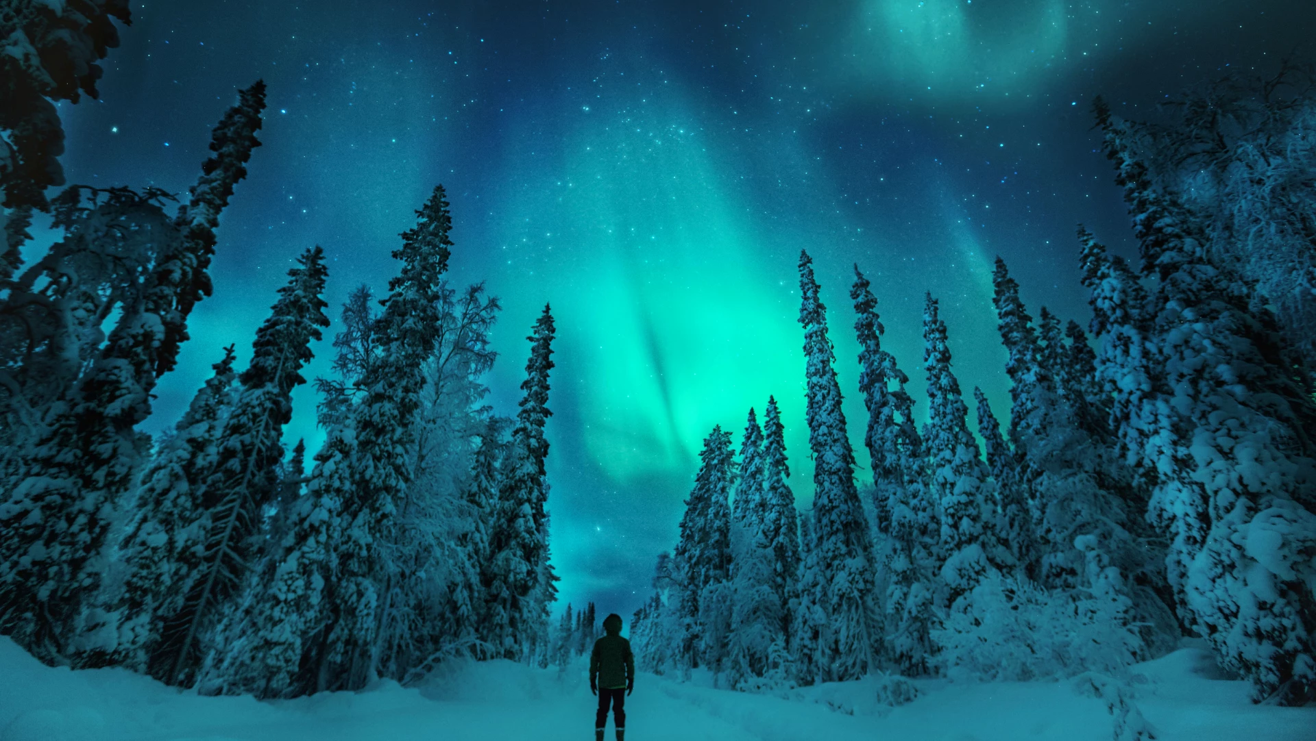 Winterwonderland Suomu