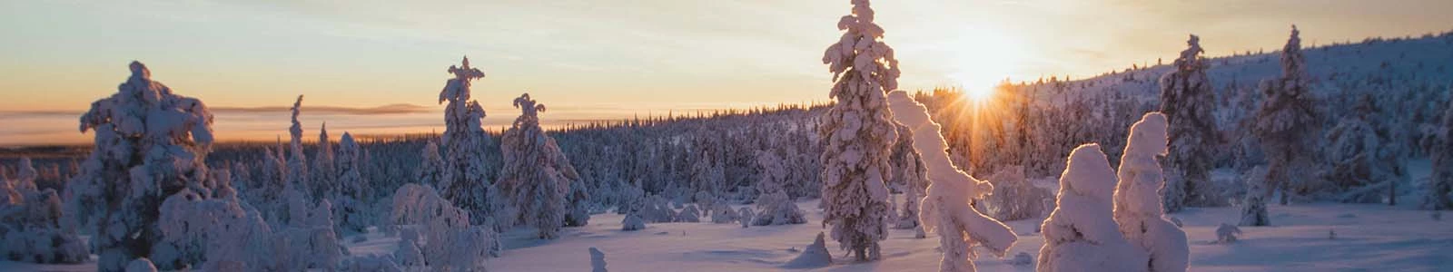 In april naar Lapland op vakantie: voorjaar!