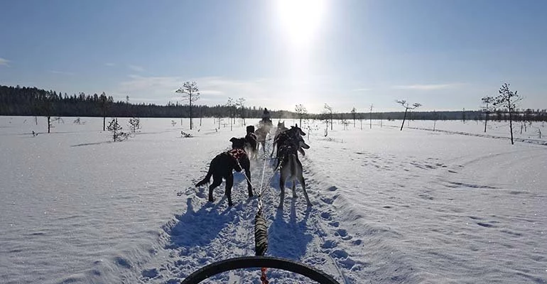 april lapland