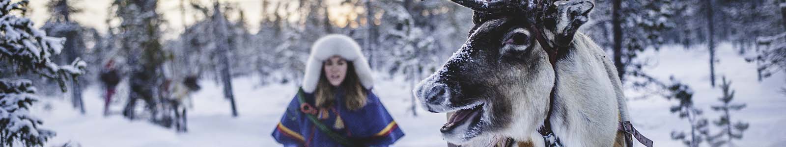 Dierenwelzijn in Lapland