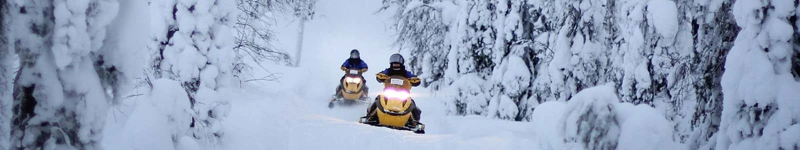 Excursies Lapland