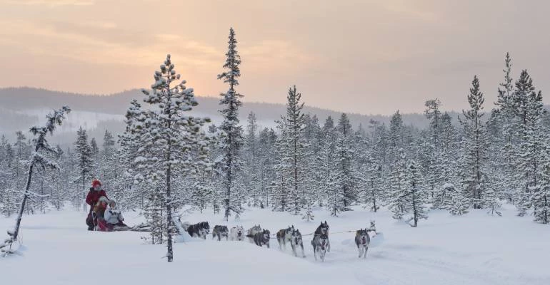huskysafari zweeds lapland