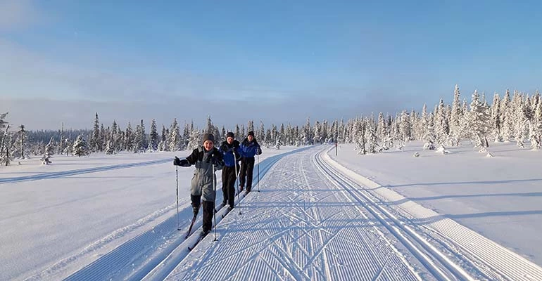 langlaufen lapland salla