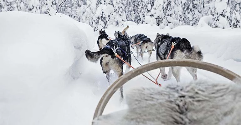 lapland in februari
