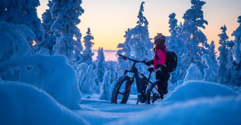 arktikum rovaniemi