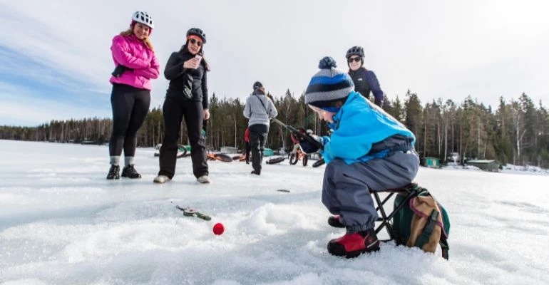 auttikongas rovaniemi