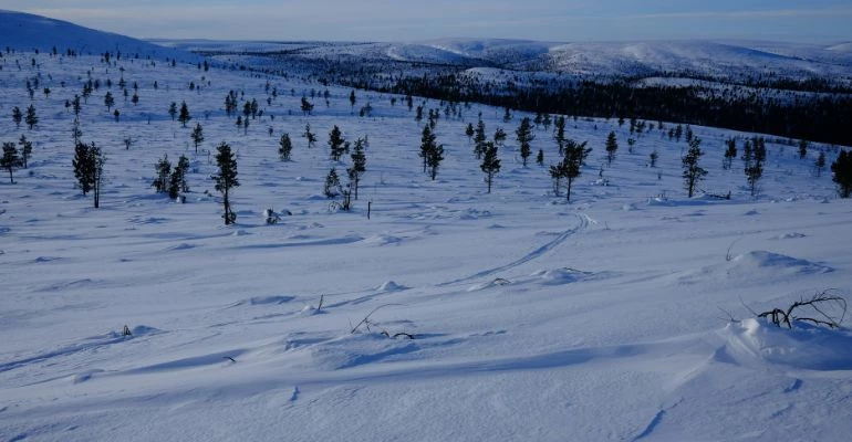 bezienswaardigheden rovaniemi