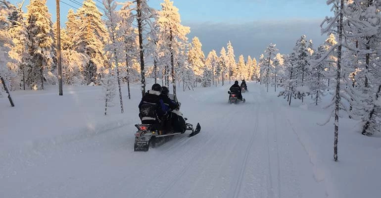 januari lapland