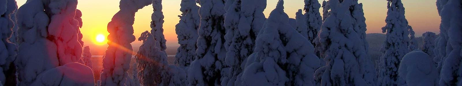 In januari naar Lapland op vakantie