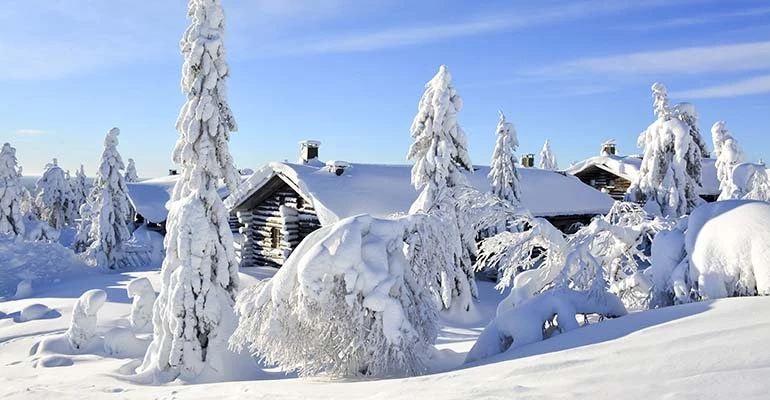 lapland in januari
