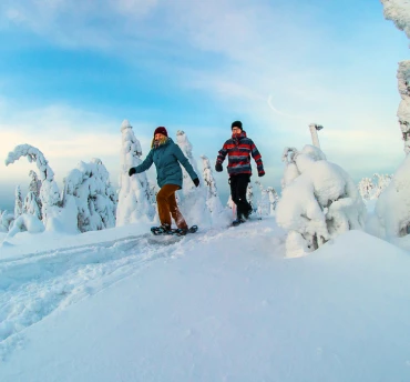 reis lapland
