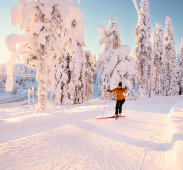 kosteloos omboeken Lapland