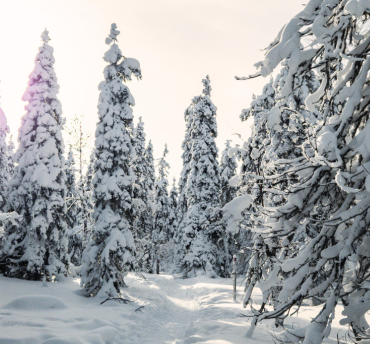 lapland vakantie