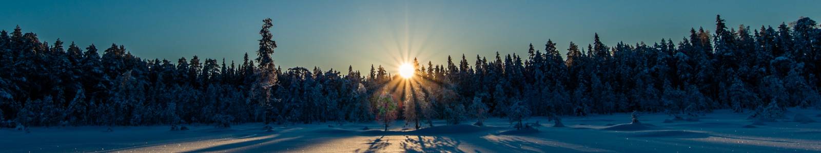 Wat kun je doen in de winter in Skellefteå en omgeving?