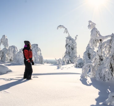 Beste reistijd Lapland