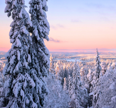 Waarom reizen met Voigt Travel?