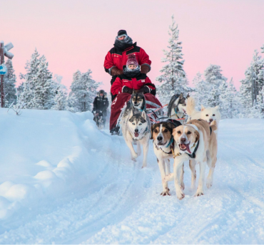 Excursies Lapland
