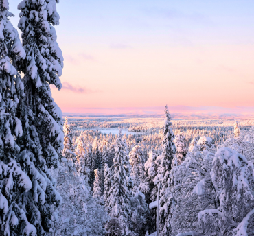 Alles over Lapland