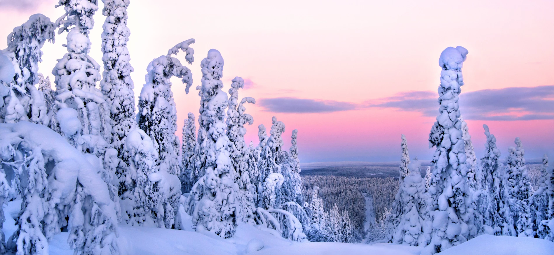Vroegboek Lapland