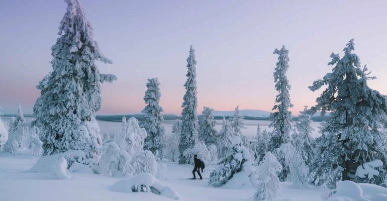 doen in fins en zweeds lapland