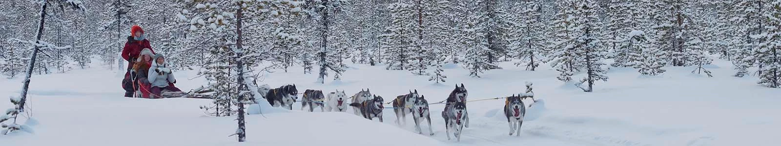 Waarom naar Zweeds Lapland in de winter? 10 redenen