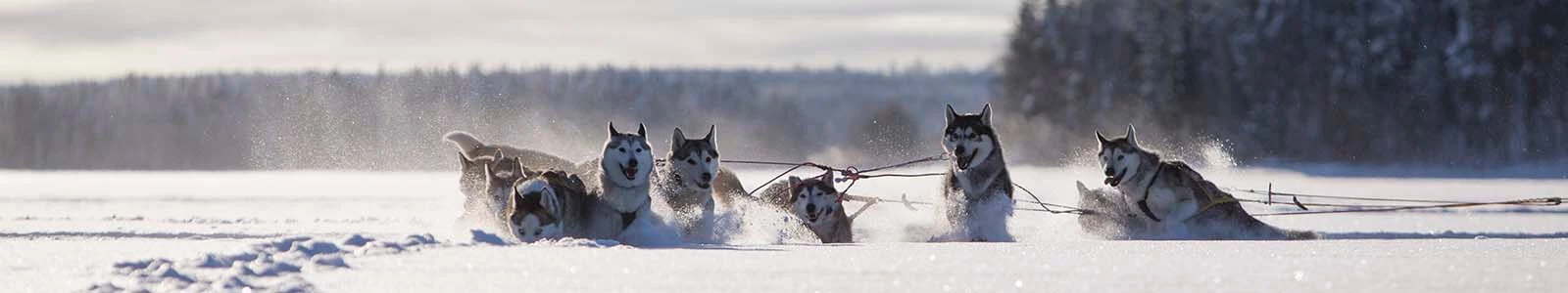 Kiruna in Noord-Zweden