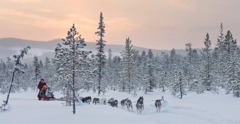 huskysafari's zweeds lapland