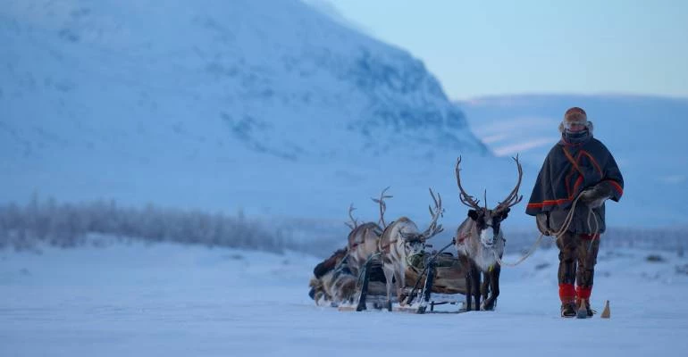Sami in Zweden