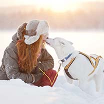 vakantie zweeds lapland