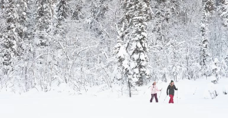 natuur in zweeds lapland