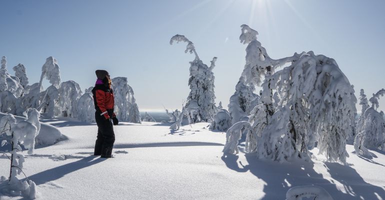 Sneeuwschoenwandelen Lapland