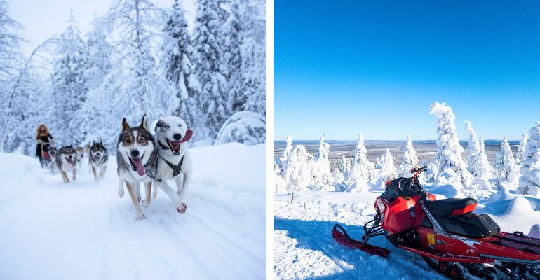 Winterlandschap Lapland