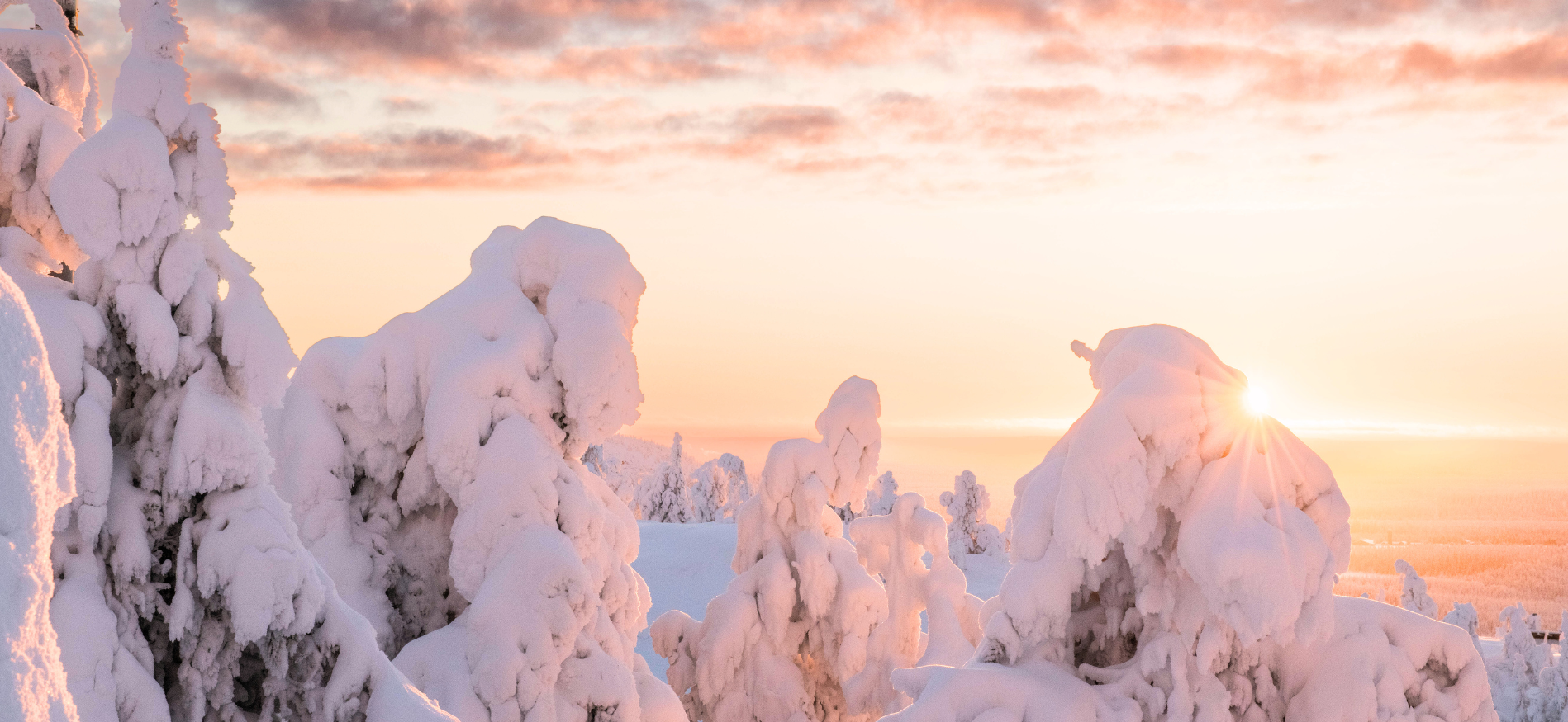 Alles over Lapland