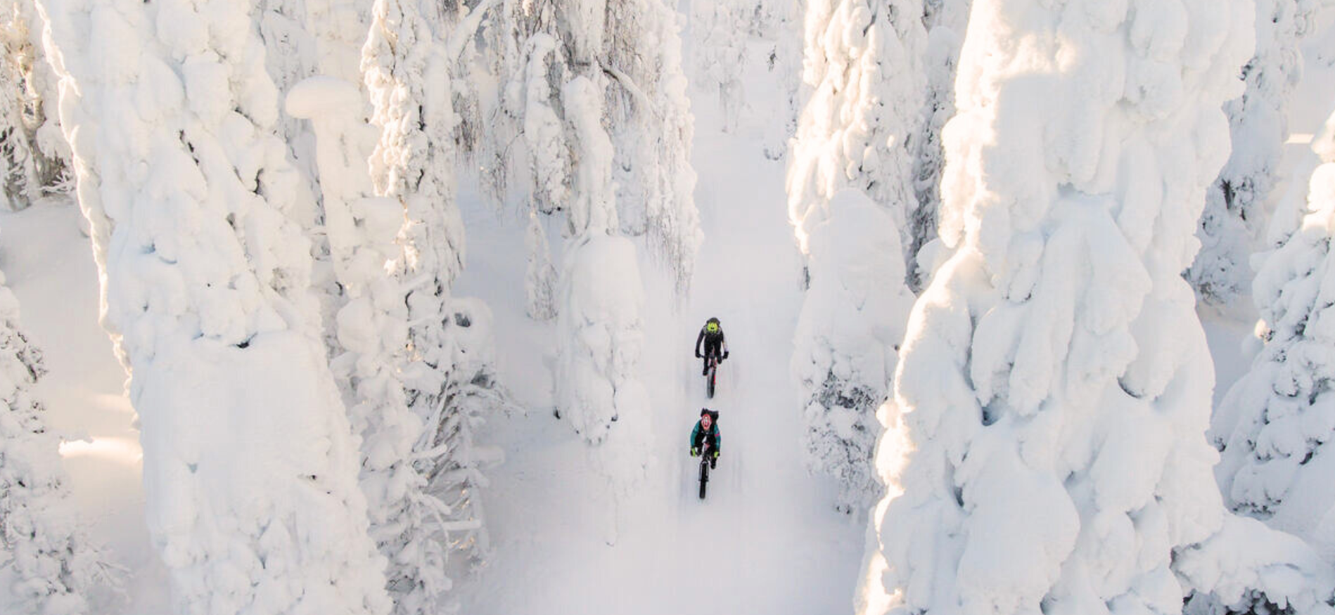 Wat is de beste reistijd voor Lapland?