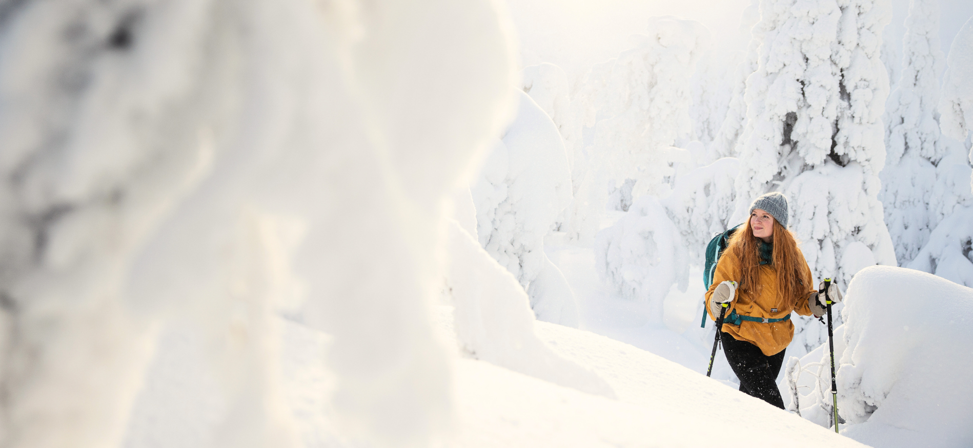 Excursies Lapland