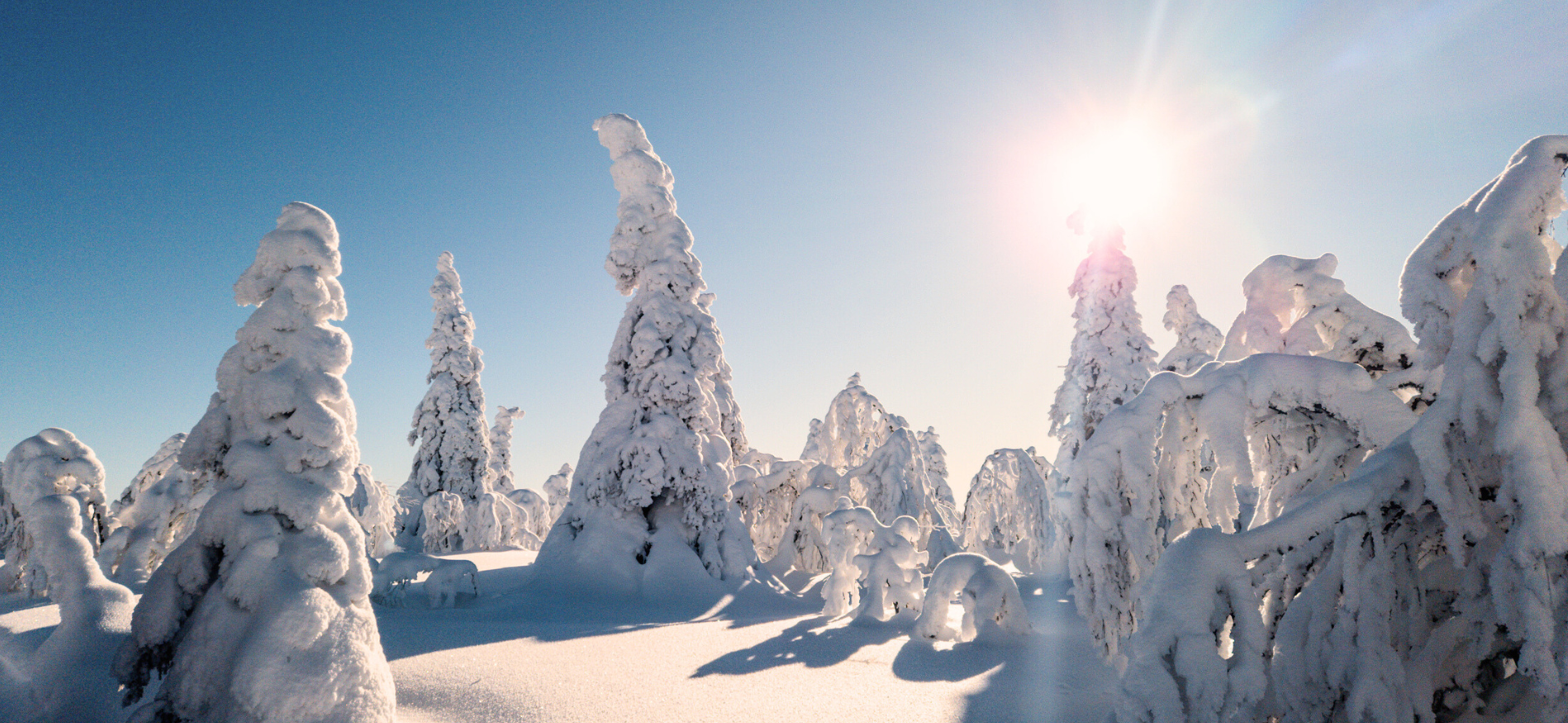 Op vakantie naar Lapland in maart
