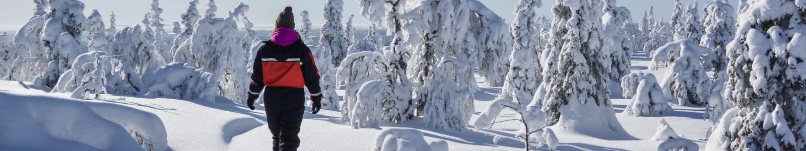Alles over Lapland